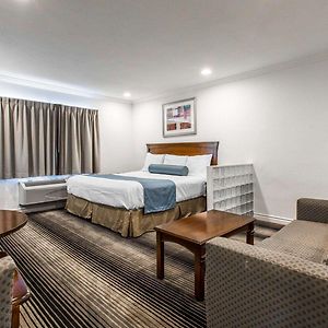 Suite mit Kingsize-Bett